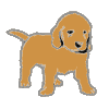 puppy icon